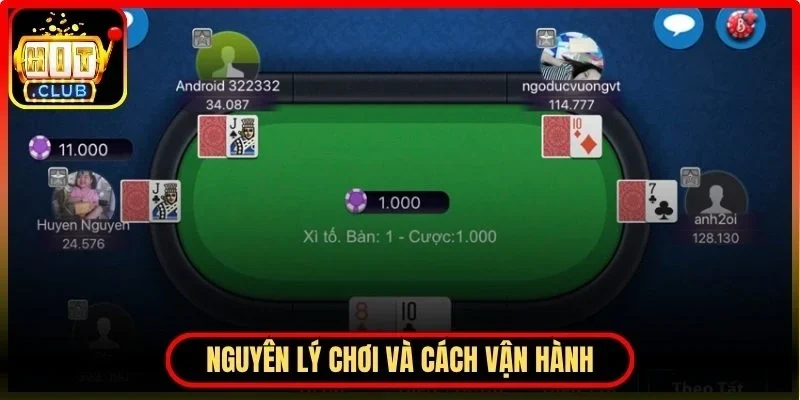 Bài Xì Tố Hitclub - Sân Chơi Đầy Hấp Dẫn Cho Người Chơi Mới 3 Hitclub Chi tiết nguyên lý chơi và cách vận hành trong xì tố