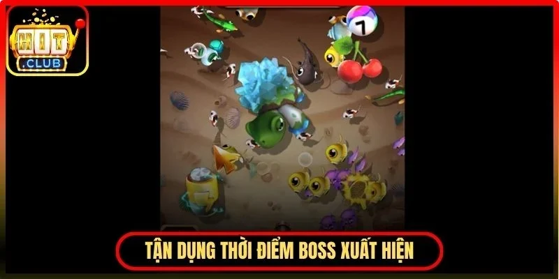 Bắn Cá Bingo Hitclub – Mẹo Chơi Và Chiến Thuật Tối Ưu 4 Hitclub Tận dụng thời điểm xuất hiện